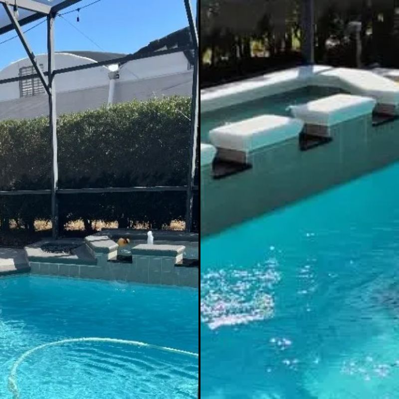 Before / After
