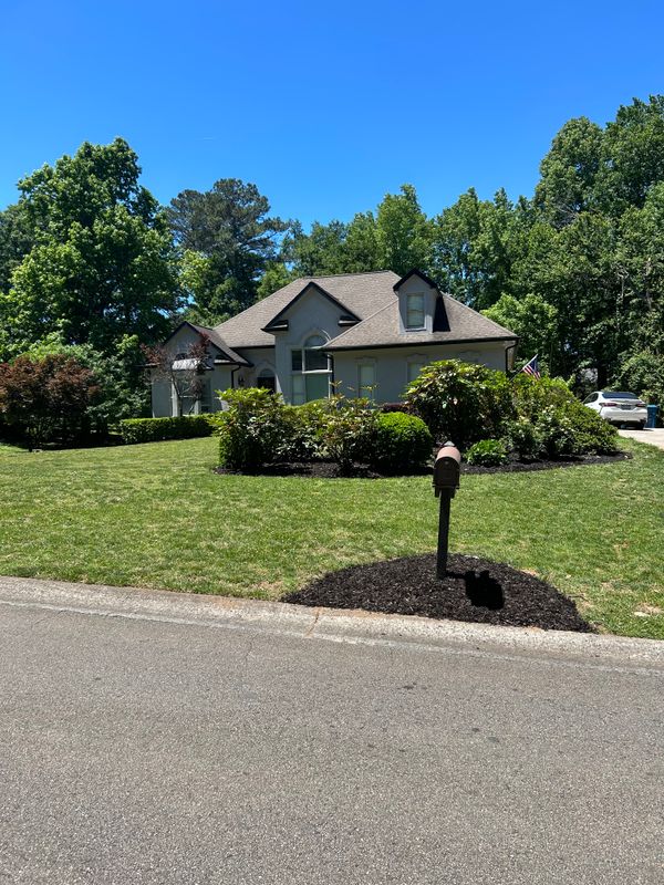 Lawn Maintenance