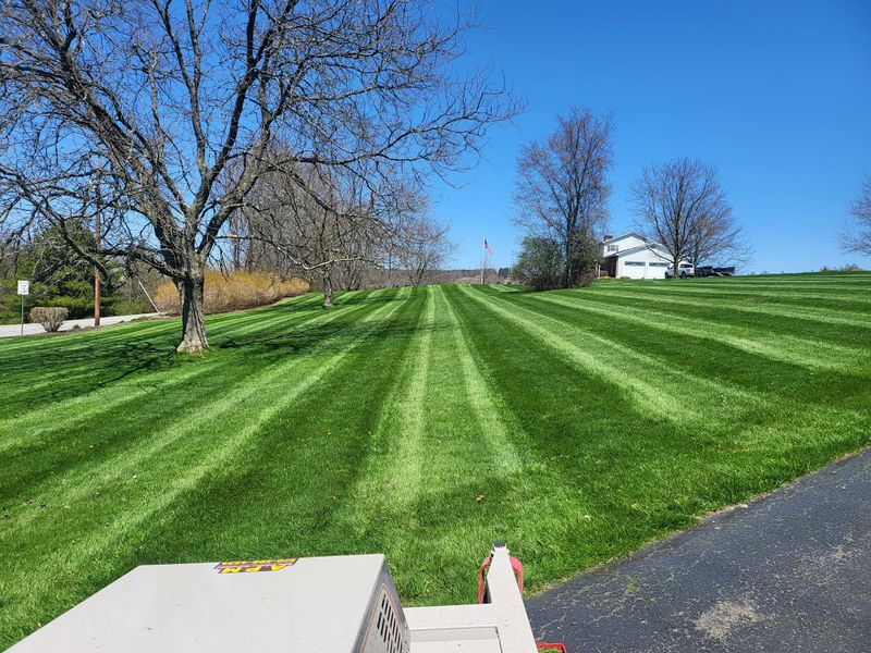 Weed Control