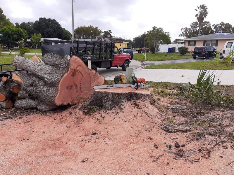 Stump Grinding