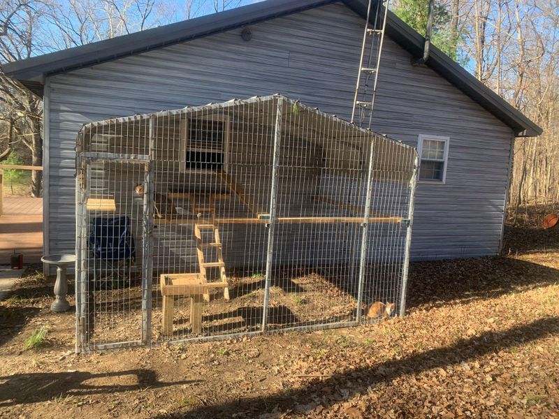 Livestock Shelters