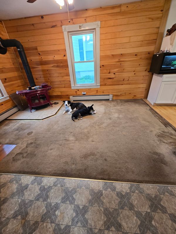 Interior Renovation