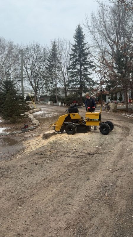 Tree Removal & Stump Grinding