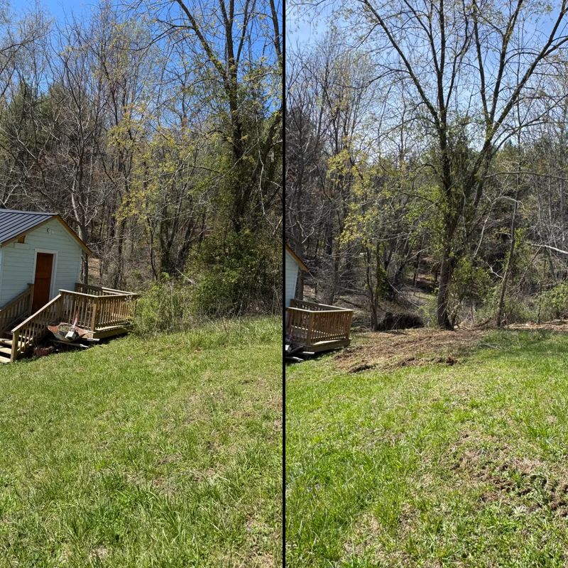 Before and Afters