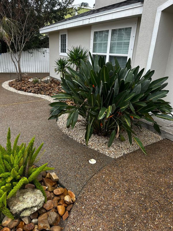 Decorative Concrete