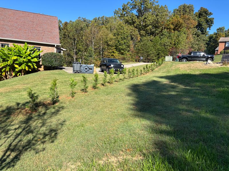 Landscape Design