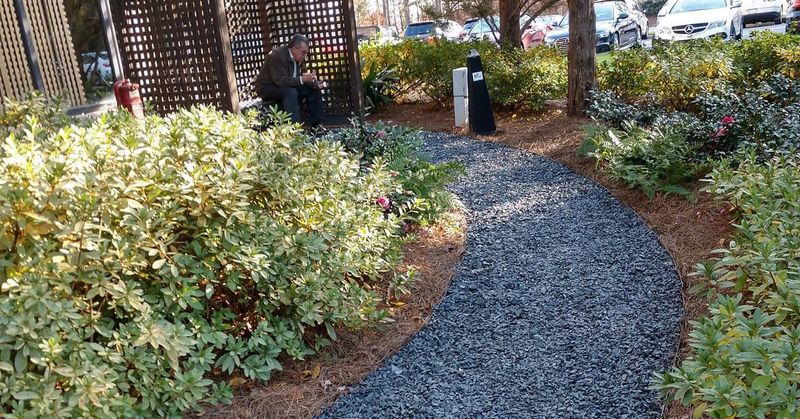 Plant & Shrub Installations