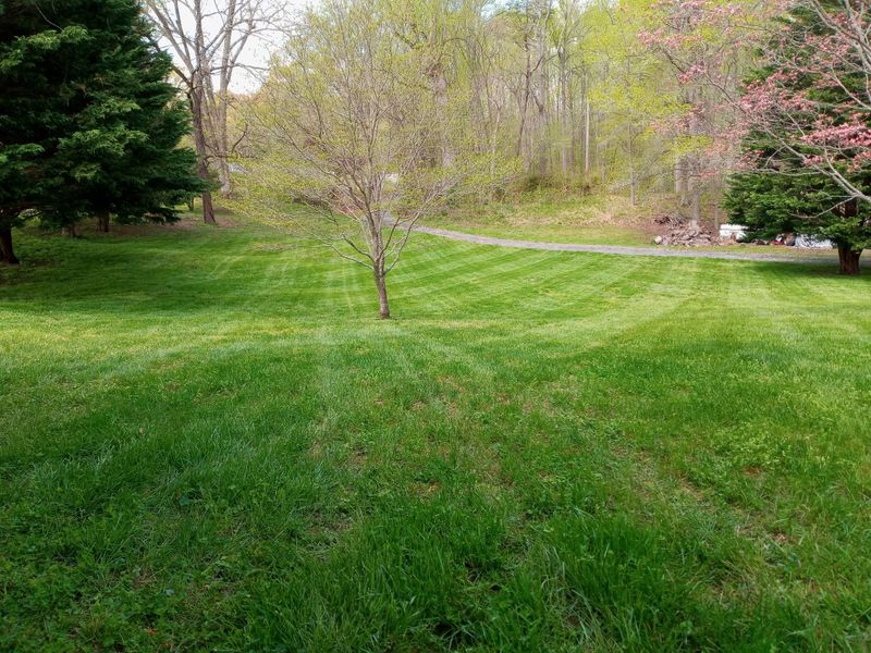 Grass Up