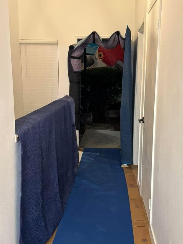 Moving and Storage Services