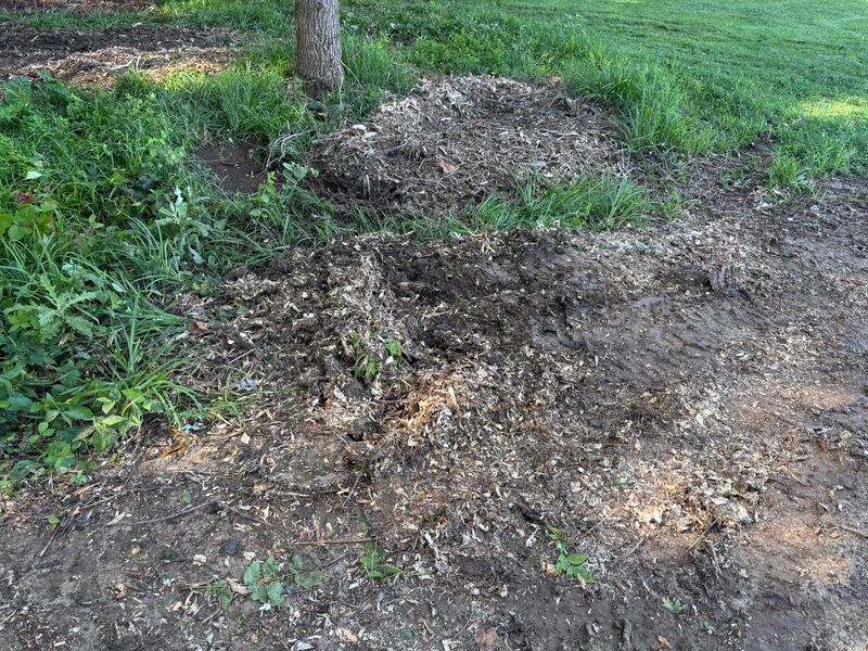 Stump Removal