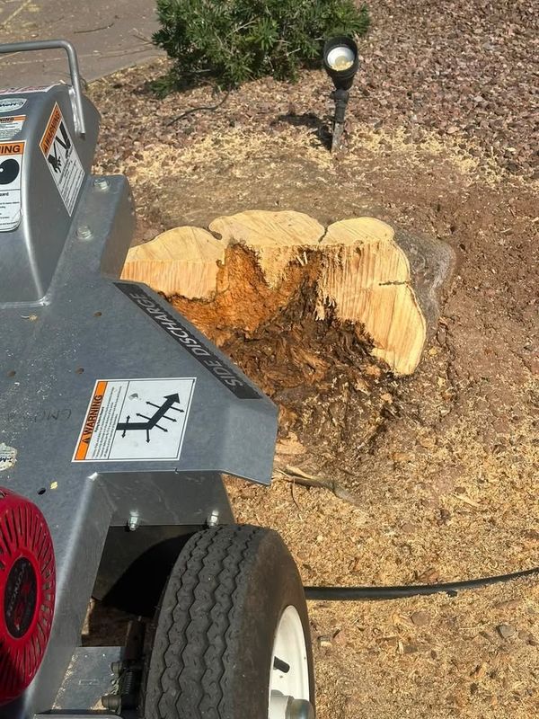 Tree Removal