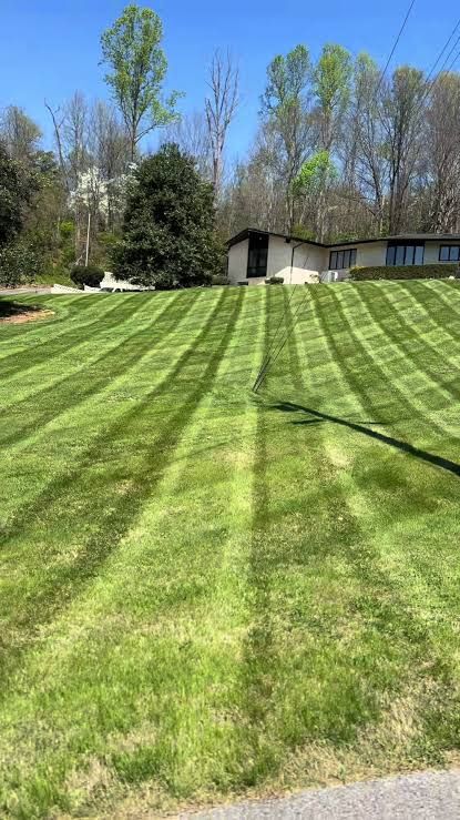 Lawn Maintenance