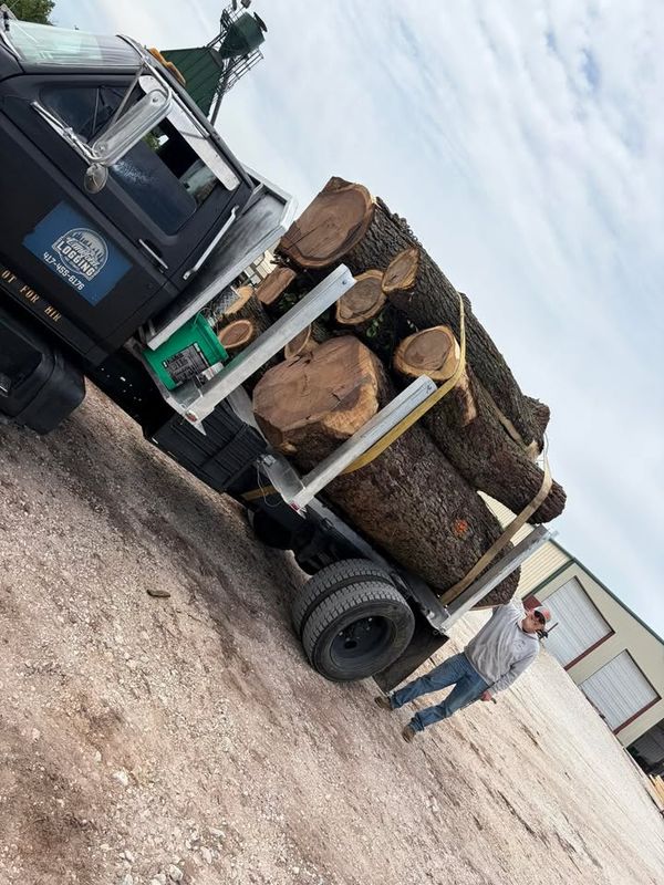 Logging