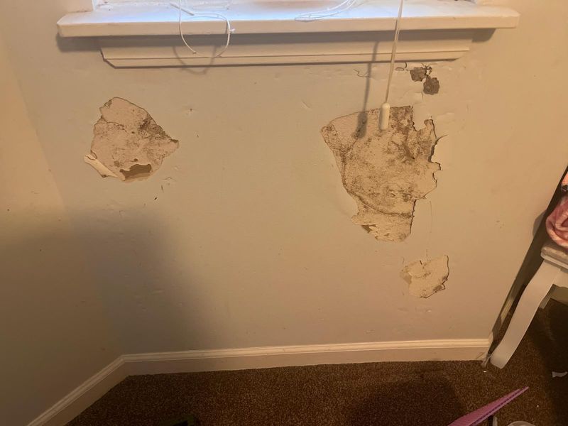 Water Damage Restoration Services