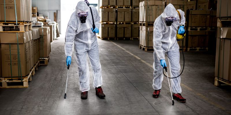 Termite Inspection & Treatment