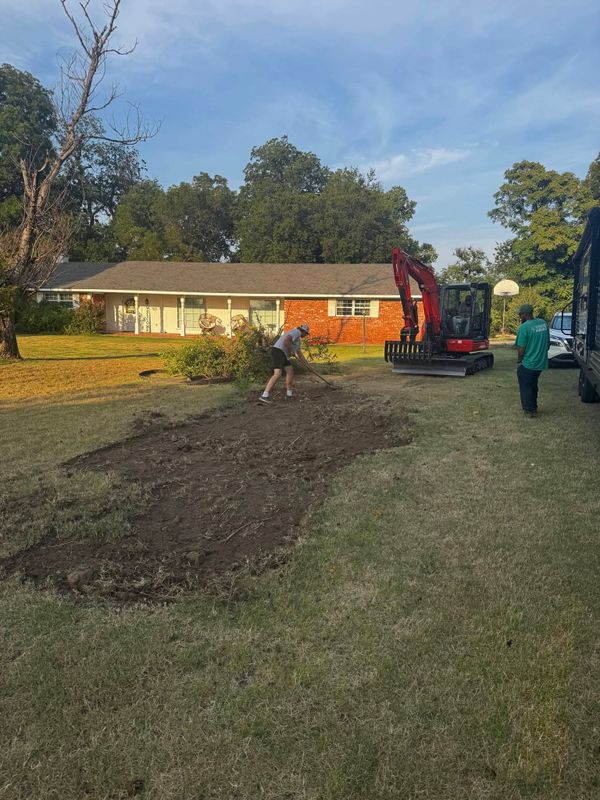 Land Clearing and Vegetation Removal