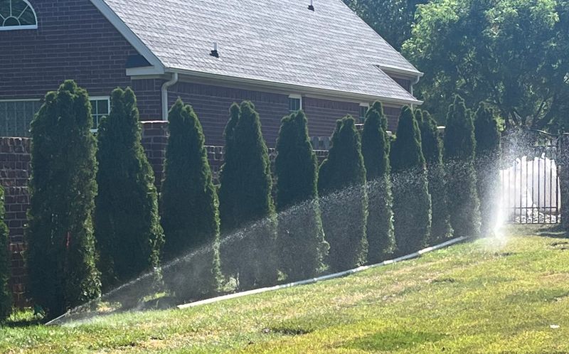 Irrigation System Repair