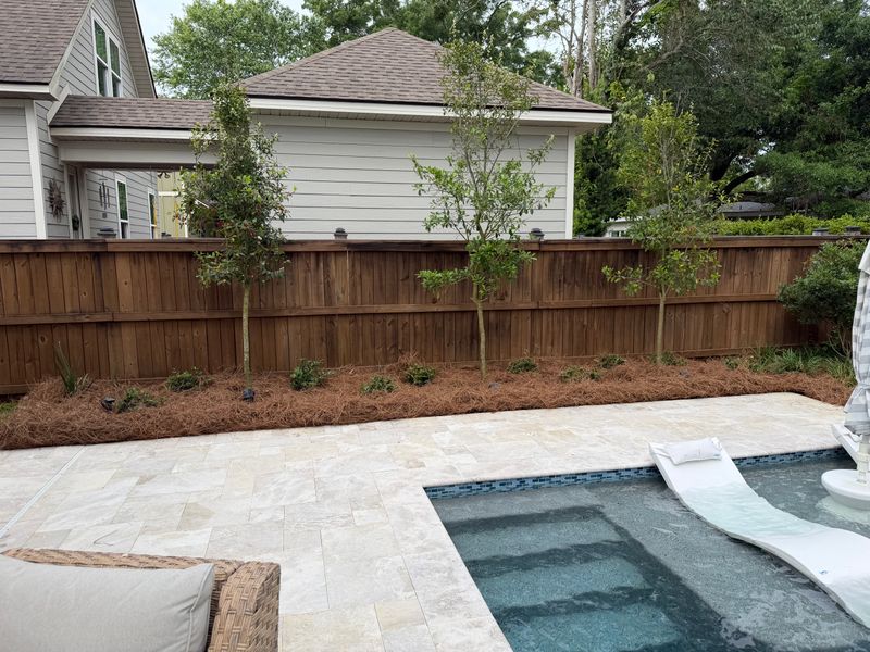 Landscape Design & Planting