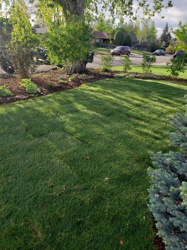 Mulch Installation