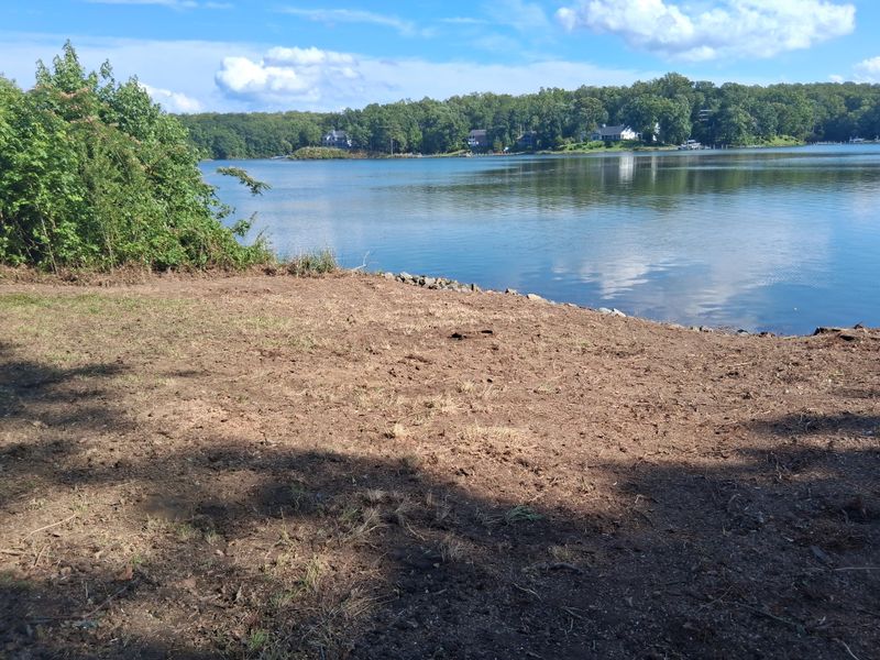 River Bank Clearing  gallery