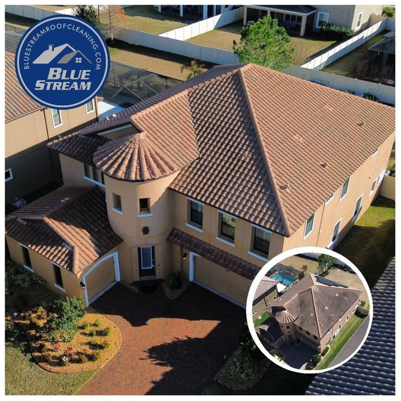 Tile Roof Cleaning