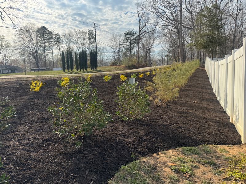 Mulch Installation