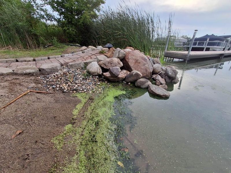 Water Features & Ponds