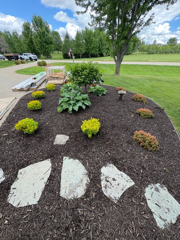 Tree and Shrub Care