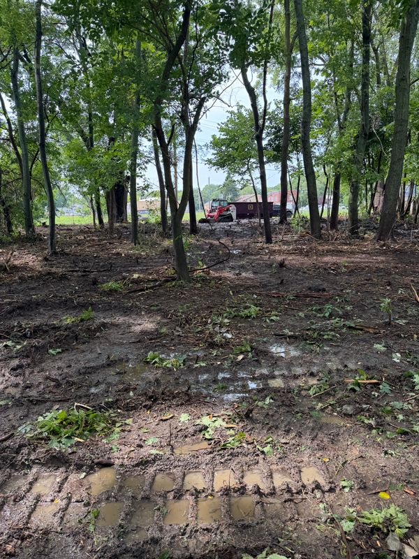 Transformative Forestry Mulching in Waukegan