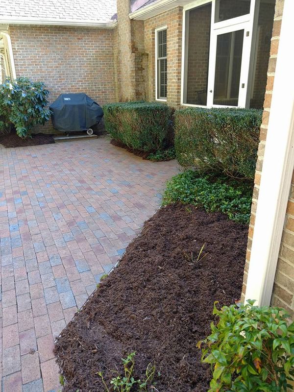 Shrub Trimming