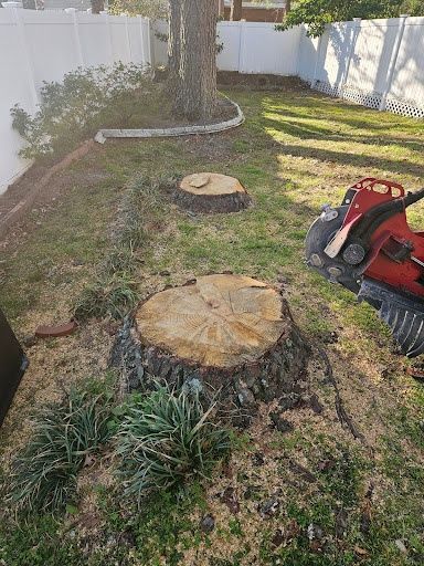 Stump Grinding