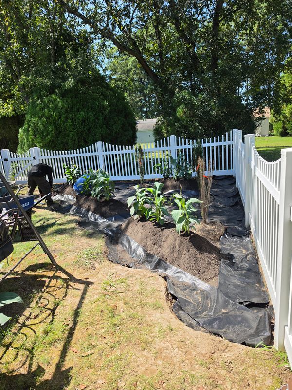 Landscape Design