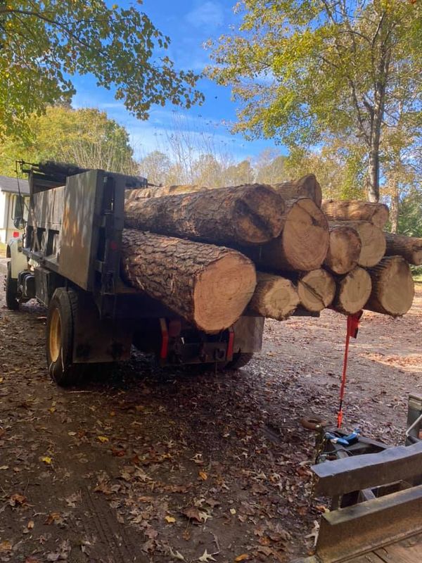 Land Clearing