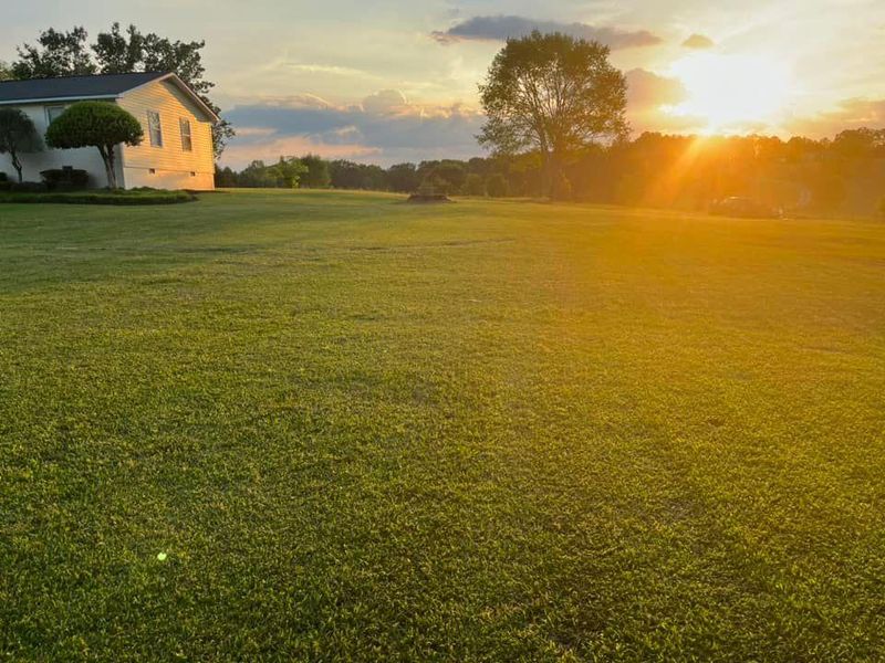 Lawn Maintenance