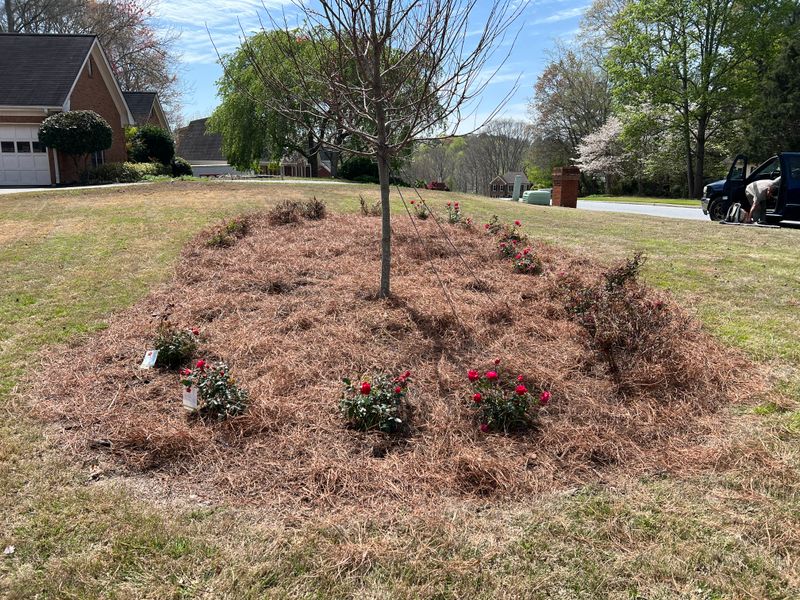 Lawncare