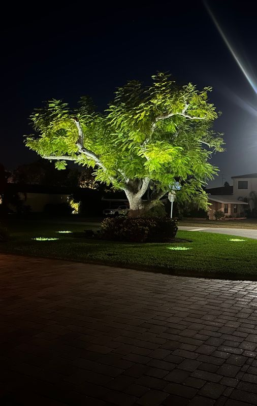 Landscape Lighting