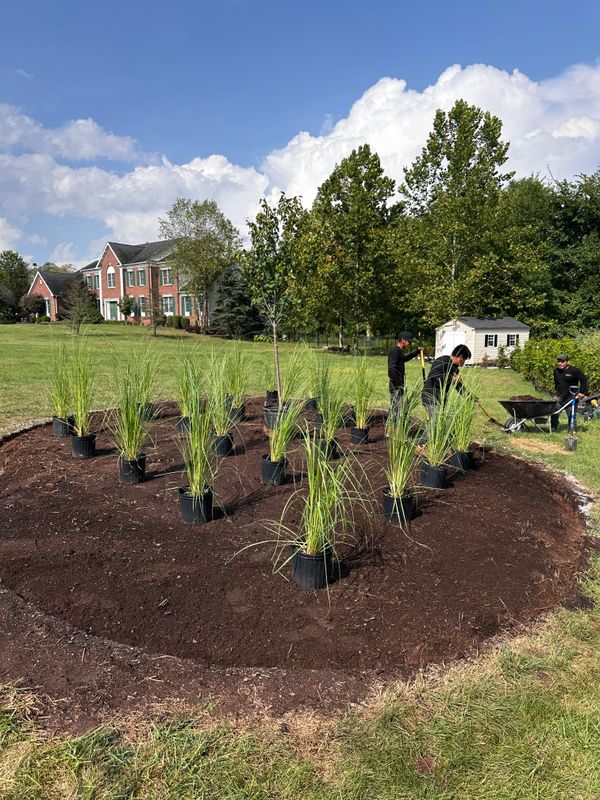 Tree & Perennial Planting