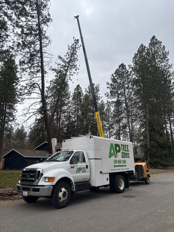 Crane-Assisted Tree Removal