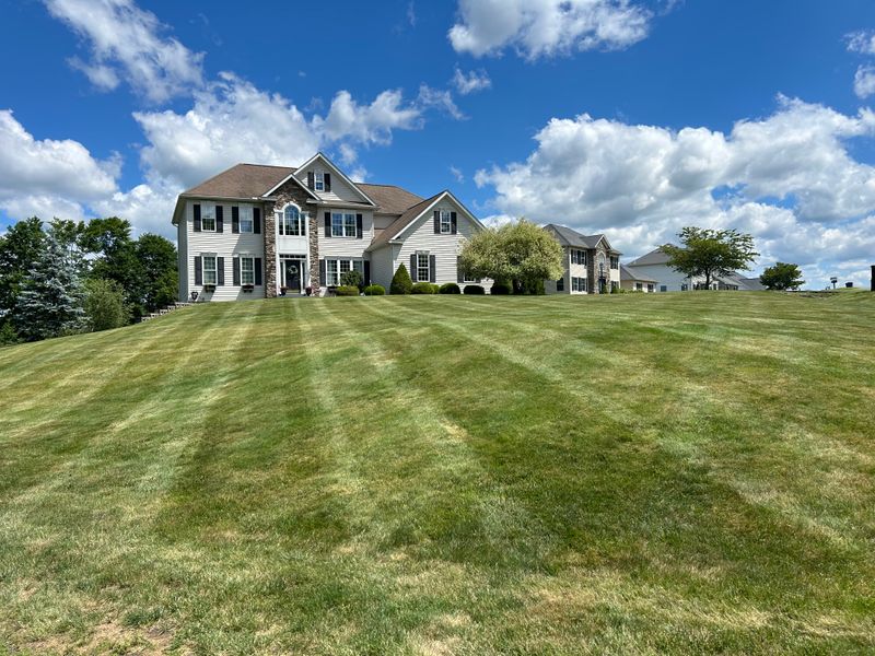 Lawn Maintenance