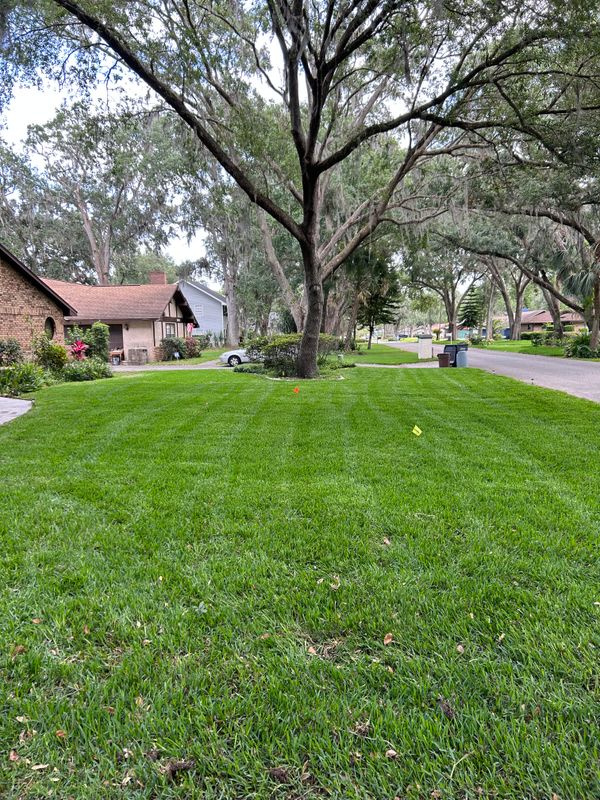 Lawn Care