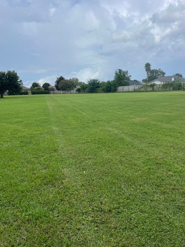Landscape Maintenance