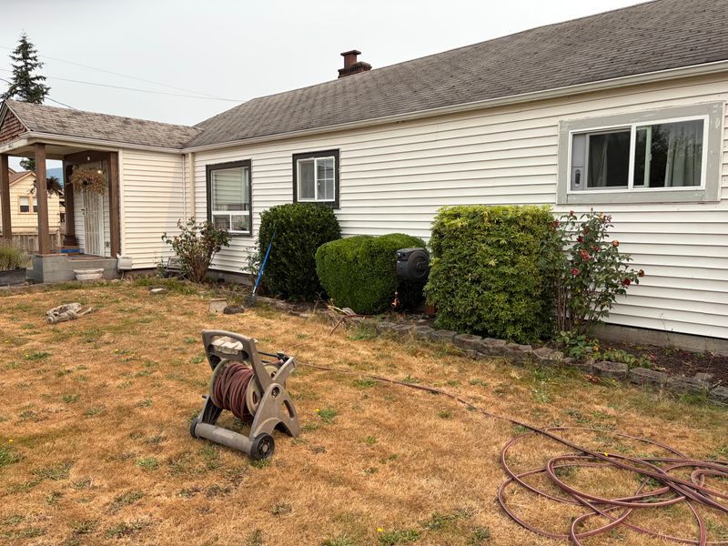Hedge Trimming