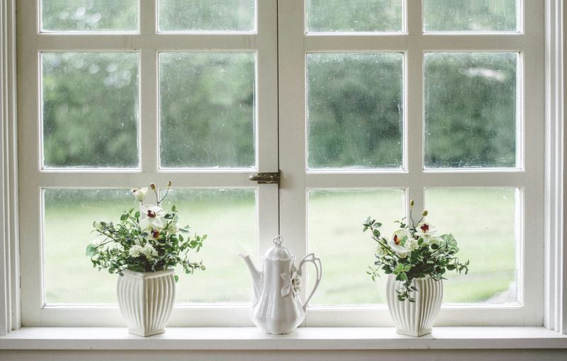 Windows & Doors