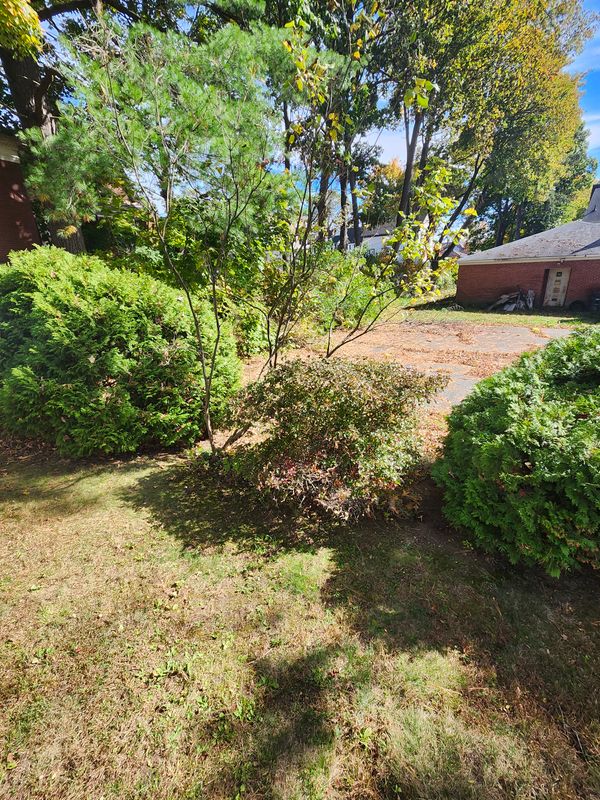 Fall Cleanups