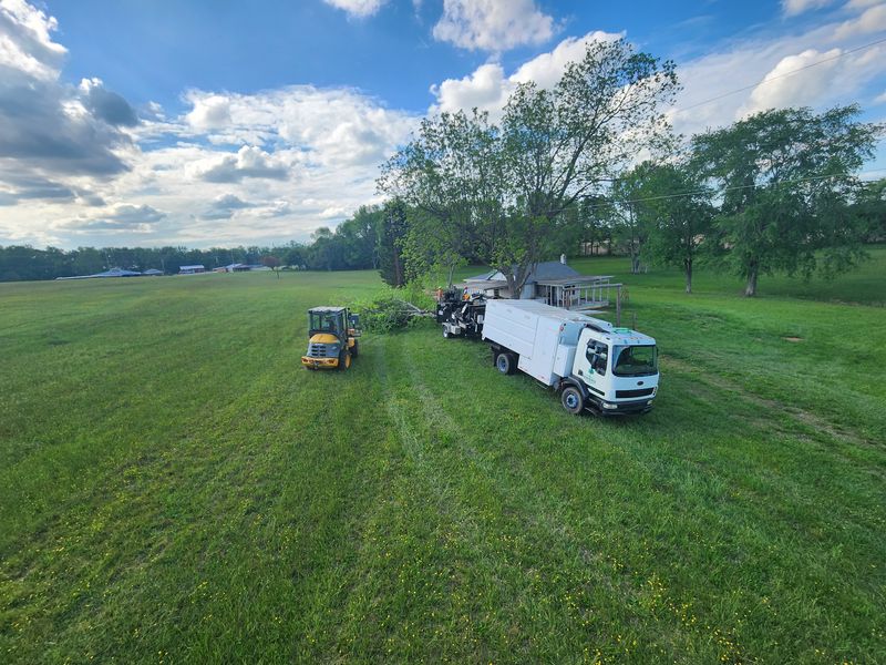 Fall Clean Up