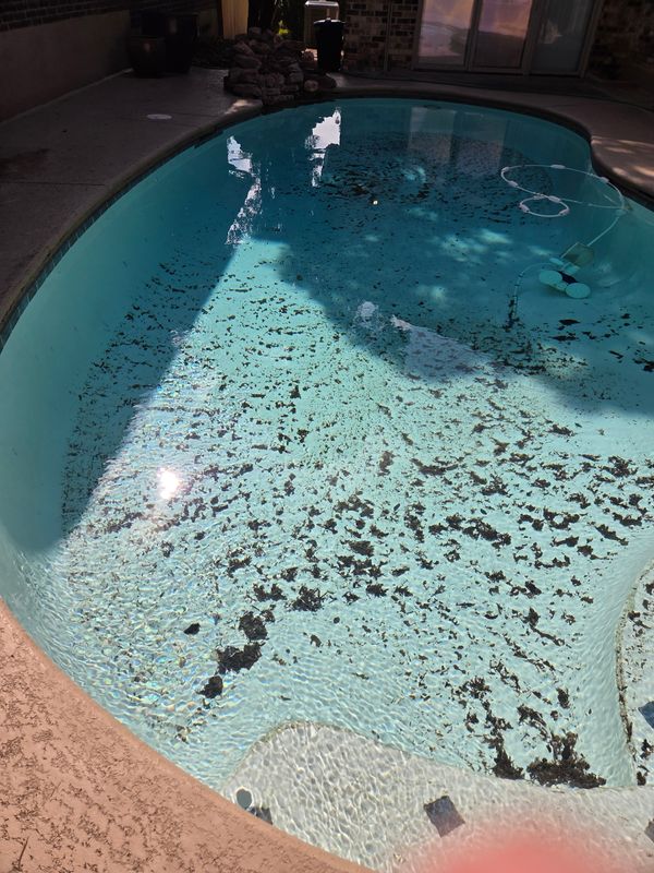 Pool Cleaning Services