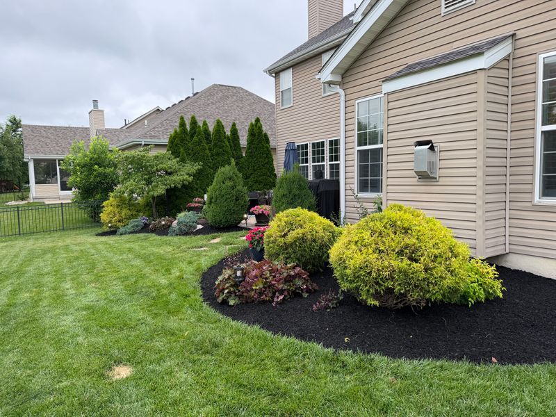 Tree and Shrub Care