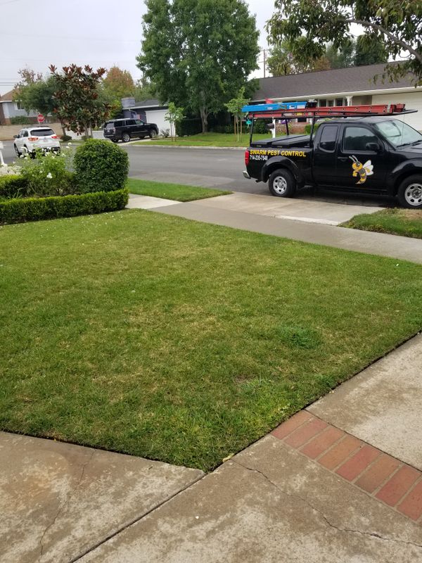 Residential Pest Control