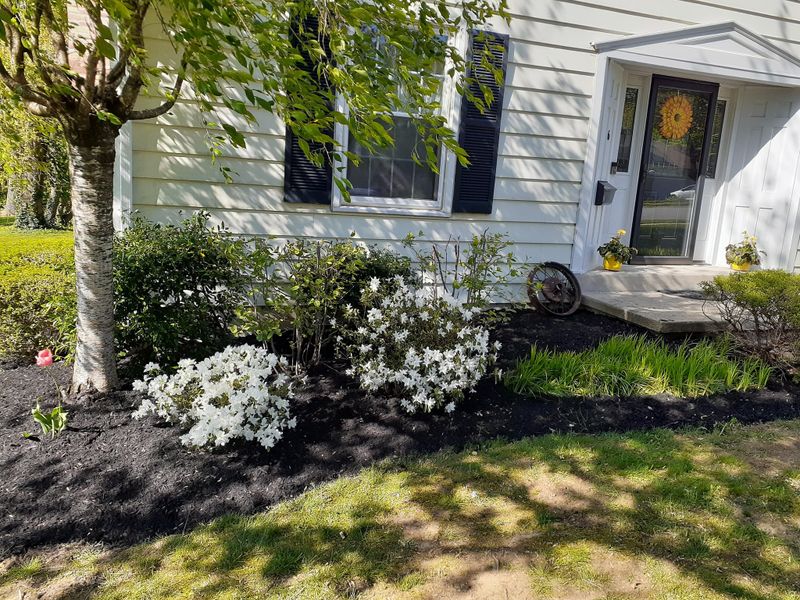 Lawn Care