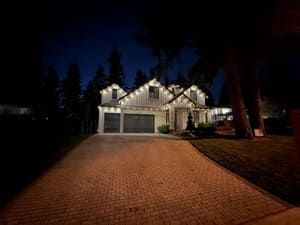 Holiday Lights
